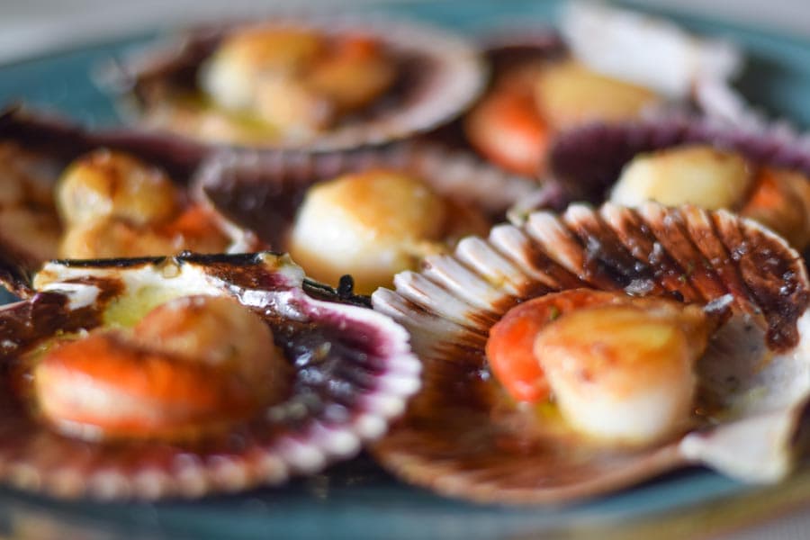 Vieiras del Pacífico en Narón